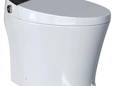 Modern White Toilet With Sleek Ceramic Surface And Contemporary Tankless Design 3d model