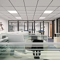 Spacious Public Office Area with Open Workstations Glass Partitions and Ceiling Lights 3d model