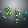 Diverse Plant Collection With Colorful Flowers Different Shapes And Green Leaves