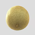 Fresh Oval Shaped Yellow Cantaloupe With Netted Skin And Green Stem On Gray Background
