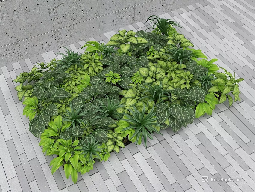 Diverse Green Plants Arrangement with Various Leaves on Gray Tiled Floor and Concrete Wall 3d model 