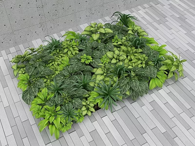 Diverse Green Plants Arrangement with Various Leaves on Gray Tiled Floor and Concrete Wall 3d model