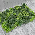 Diverse Green Plants Arrangement with Various Leaves on Gray Tiled Floor and Concrete Wall