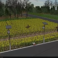 Beautiful Yellow Flower Field With Bamboo Fence Solar Lights Scarecrows Distant Trees And Country Road