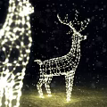 Deer Shaped Festive Decorative Lights Illuminate Snowy Outdoor Winter Night Garden