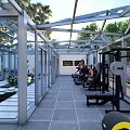 Glass Greenhouse Style Restaurant With Transparent Roof Dining Area And Indoor Plants