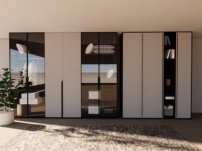 Modern Wardrobe Design With Glass Doors And Black White Panels In Bright Room With Rug 3d model