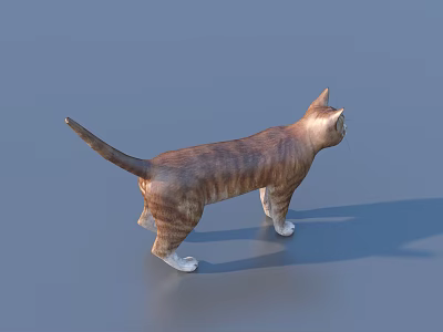 Realistic Reptile 3D Model Standing On Gray Background With Visible Shadow 3d model