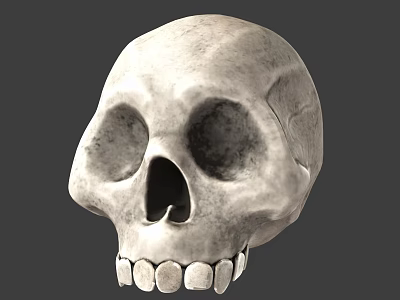 Detailed Human Skull Stone Sculpture With Realistic Texture And Facial Features 3d model