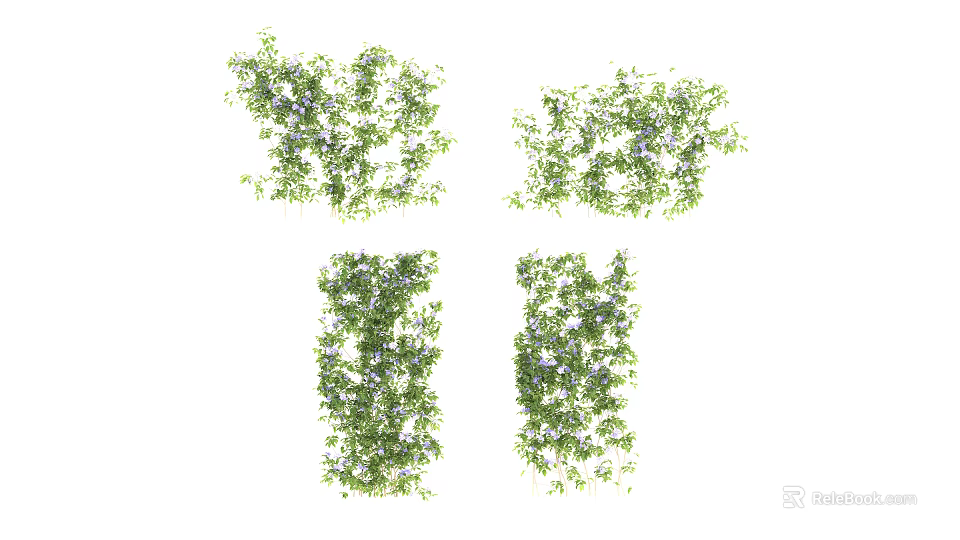 Green Leafy Vines With Small White Flowers In Various Decorative Shapes 3d model 