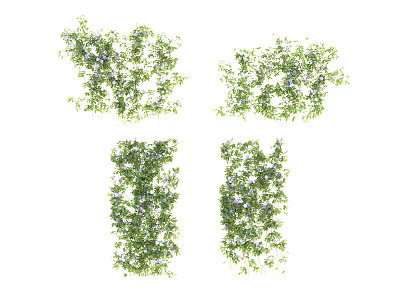 Green Leafy Vines With Small White Flowers In Various Decorative Shapes 3d model