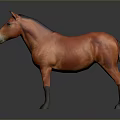 Red Horse Model With Black Mane And Legs On Dark Background