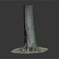 Natural Tree Stump Decor With Exposed Roots And White Gravel Base