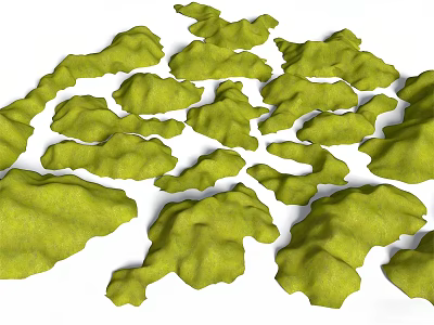 Green Micro Terrain with Irregular Shapes and Natural Textures for Landscape Models 3d model