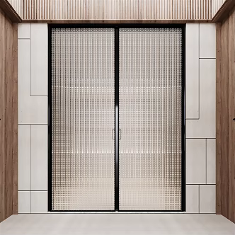 Modern double door glass double door Changhong glass door opposite door 3d model