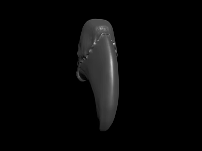 Gray Claw Shaped Object With Sharp Edges And Pointed Tip On Black Background 3d model