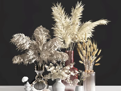 Dried Flowers in Glass Ceramic Vases on White Table with Dark Background 3d model