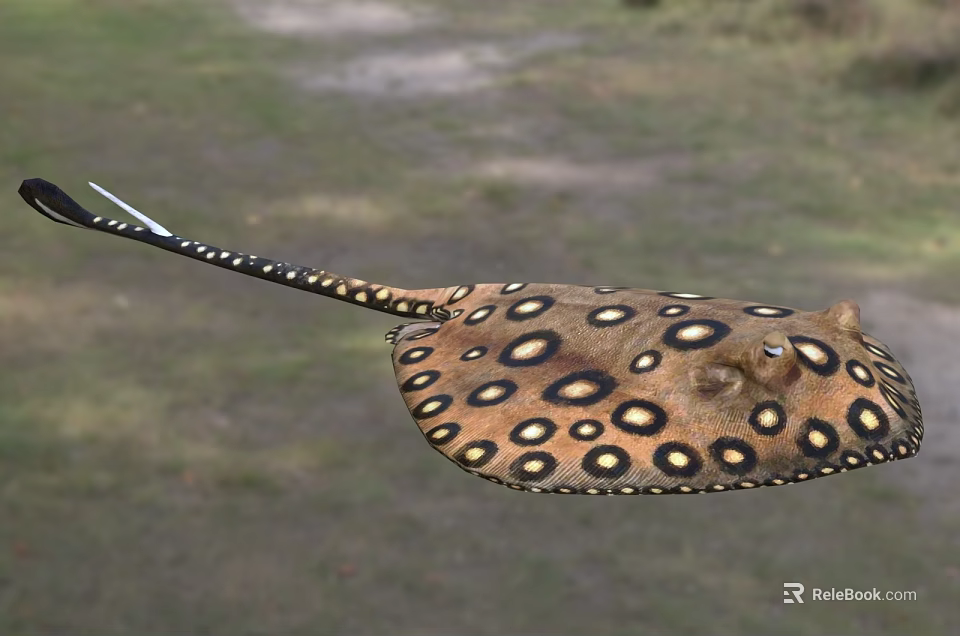 Unique Spotted Stingray Aquatic Animal With Yellow Brown Body And Long Tail 3d model 