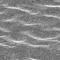 Natural Microtopography Features On Sandy Ground With Small Stones And Irregular Depressions