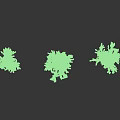 Five Dark Purple Bushes Arranged In A Row On White Background With Shadows