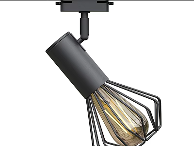 Industrial Style Black Metal Frame Pendant Light With Vintage Filament Bulb 3d model