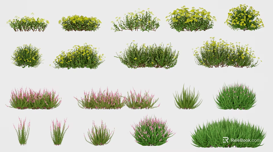 Various Colorful Flowering Plants And Green Herbaceous Shrubs With Different Bloom Colors And Foliage Textures 3d model 