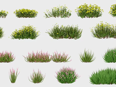 Various Colorful Flowering Plants And Green Herbaceous Shrubs With Different Bloom Colors And Foliage Textures 3d model