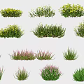 Various Colorful Flowering Plants And Green Herbaceous Shrubs With Different Bloom Colors And Foliage Textures
