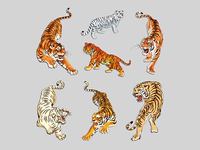 tigers white tigers fierce tigers northeast tigers south china tigers wild tigers 3d model