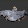3D Model Fish With Gray Body And Orange Fins Open Mouth Whiskers Dark Background Reflection