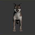 Game Movie Wolf Character Standing On Gray Background Reflective Surface 3d model