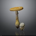 Mushroom With Orange Yellow Cap And Small White Mushroom On Gray Background With Reflection