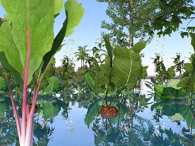 Scenic Rural Landscape With Lush Green Plants Large Leaves And Clear Water Reflection 3d model