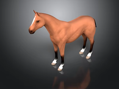 Brown Horse With White Hooves And Facial Marking Standing On Dark Background With Reflection 3d model