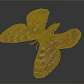 Detailed Vibrant Butterfly With Dark Colored Wings Red Spots Black Dots And Orange Borders