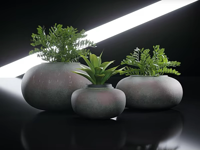 Three Gray Pots With Green Potted Plants On Black Surface And White Light Strip 3d model