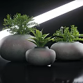 Three Gray Pots With Green Potted Plants On Black Surface And White Light Strip