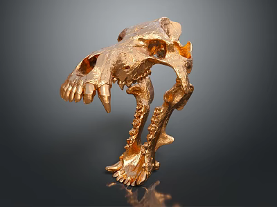 Golden Animal Skull Sculpture With Detailed Bone Structure And Shiny Metallic Finish 3d model