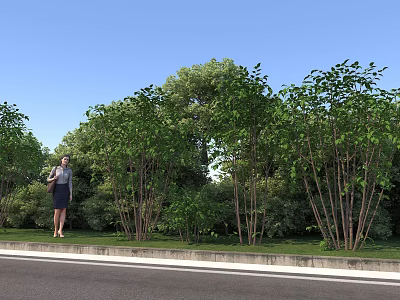 Rural Landscape Scene With Lush Green Trees And Woman Standing By Roadside 3d model