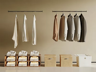 Hanging And Folded Clothes In Various Colors With Storage Racks And Boxes 3d model