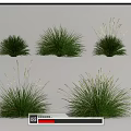 Modern grass combination 3d model
