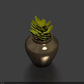 Bonsai Succulent Plant In Silver Vase On Blue Background With Green Leaves