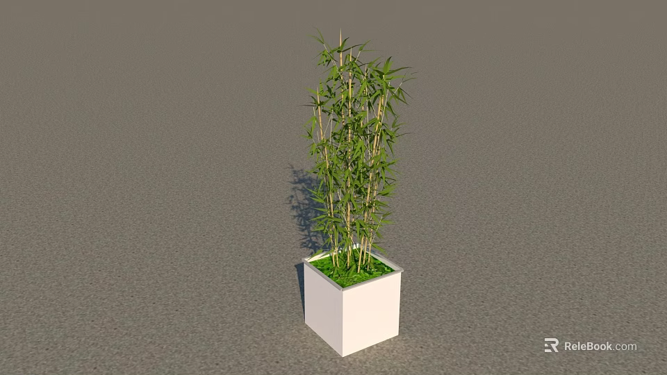 Indoor Bonsai Potted Plant With Green Bamboo In White Square Pot 3d model 