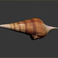 Intricately Carved Conch Shell Sculpture With Spiral Shape Orange Red Stripes On Black Reflective Surface