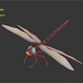 Vibrant Dragonfly With Blue Wings Colorful Eyes And Dark Body Blue Stripes