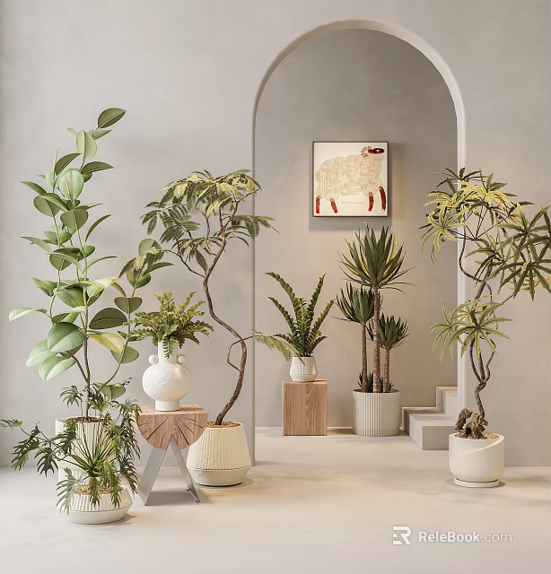 Indoor Decorative Bonsai Potted Plants Arrangement With Various Green Foliage And Stylish Containers 3d model 