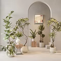 Pot combination of Mori net red plants 3d model