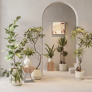 Pot combination of Mori net red plants 3d model