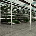 Spacious Indoor Farm With Multi Layer Metal Racks Growing Green Plants Under Glass Ceiling