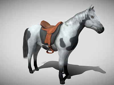 A gray and white horse with black spots brown saddle white mane and black tail 3d model